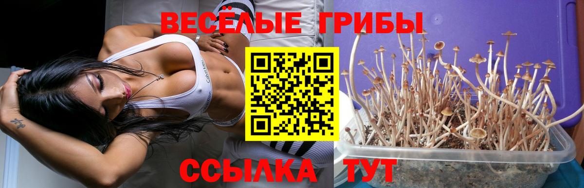 Псилоцибиновые грибы Magic Shrooms Балашиха