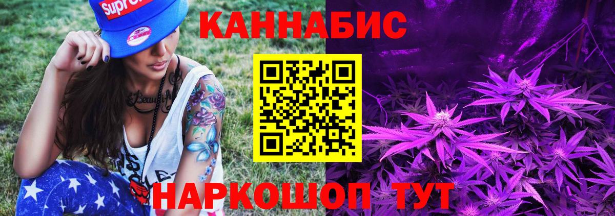 Бошки марихуана планчик  Вход с VPN  Бошки марихуана сатива  Балашиха 